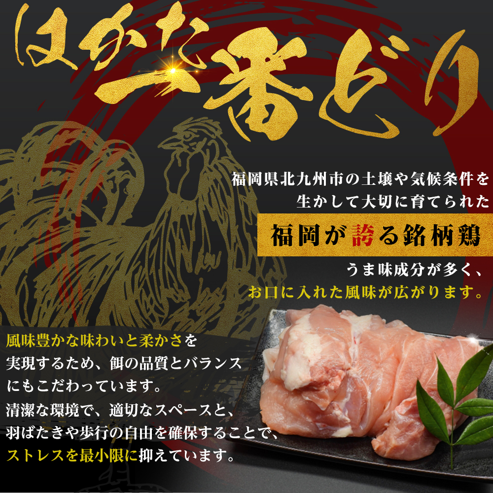 制作実績（バナー/商品画像）