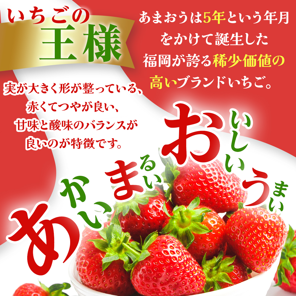 制作実績（バナー/商品画像）