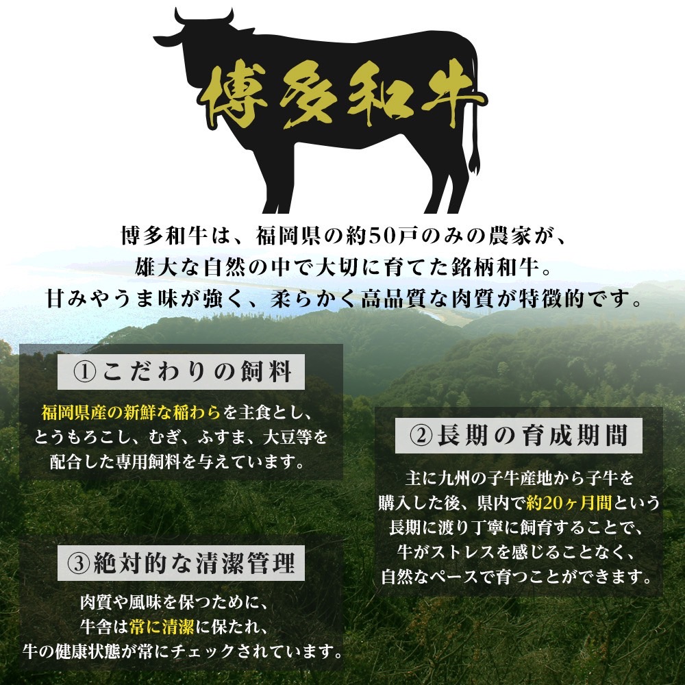 制作実績（バナー/商品画像）