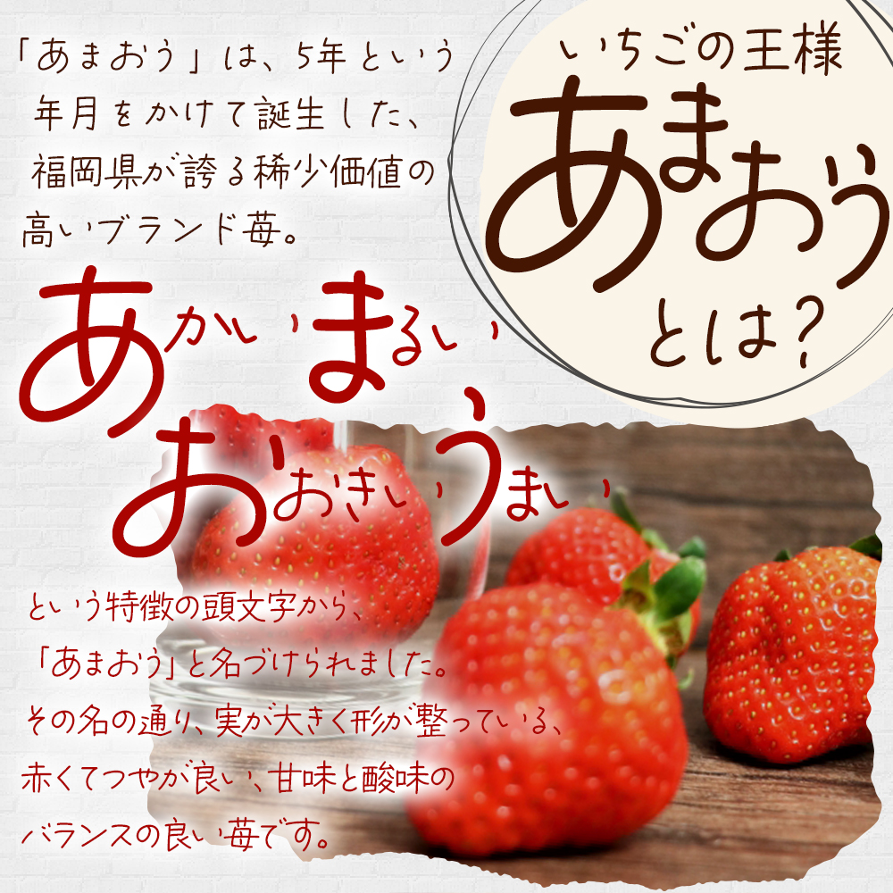 制作実績（バナー/商品画像）