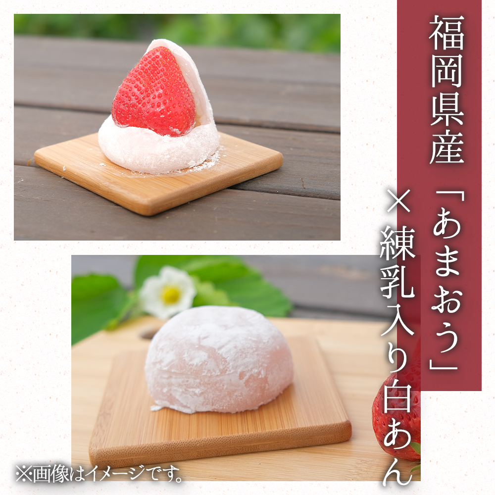 制作実績（バナー/商品画像）