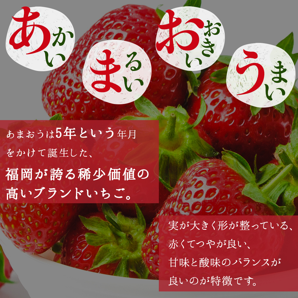 制作実績（バナー/商品画像）